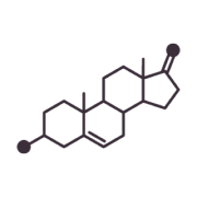 Womens Health Hormones_Icon